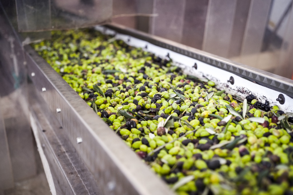 Olio di Attilio — Careful Selection